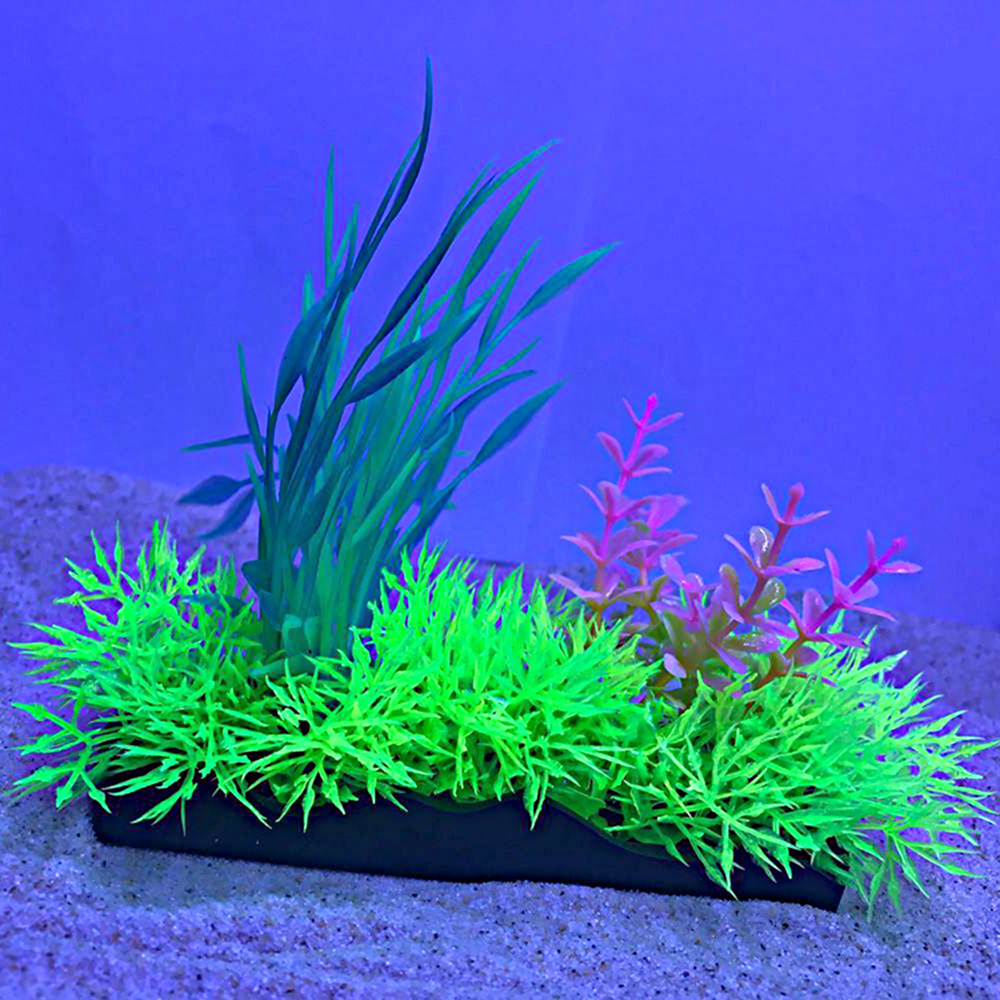 Penn-Plax eOrder | Tide & Treasure™ Glow Plants - 5-Piece PDQ - Green ...