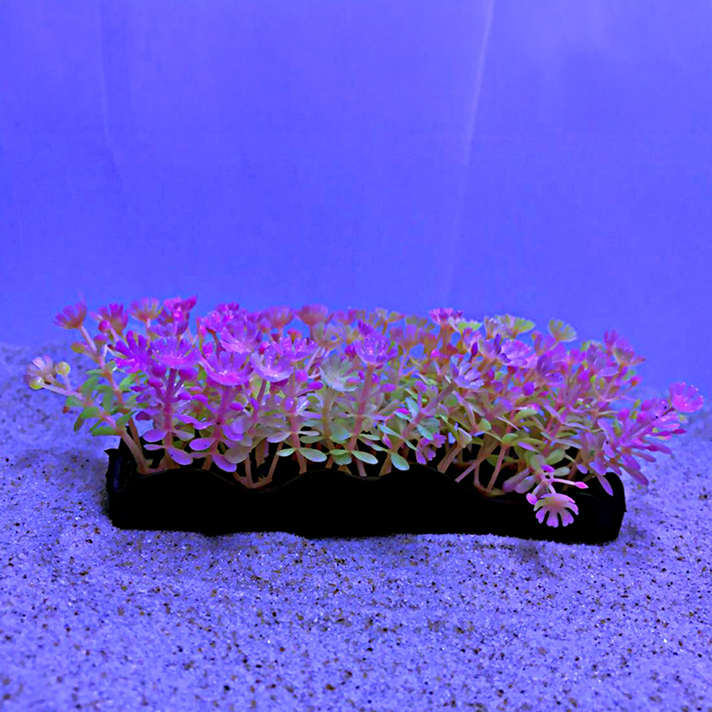 Penn-Plax eOrder | Tide & Treasure™ Glow Plants - 5-Piece PDQ - Pink ...