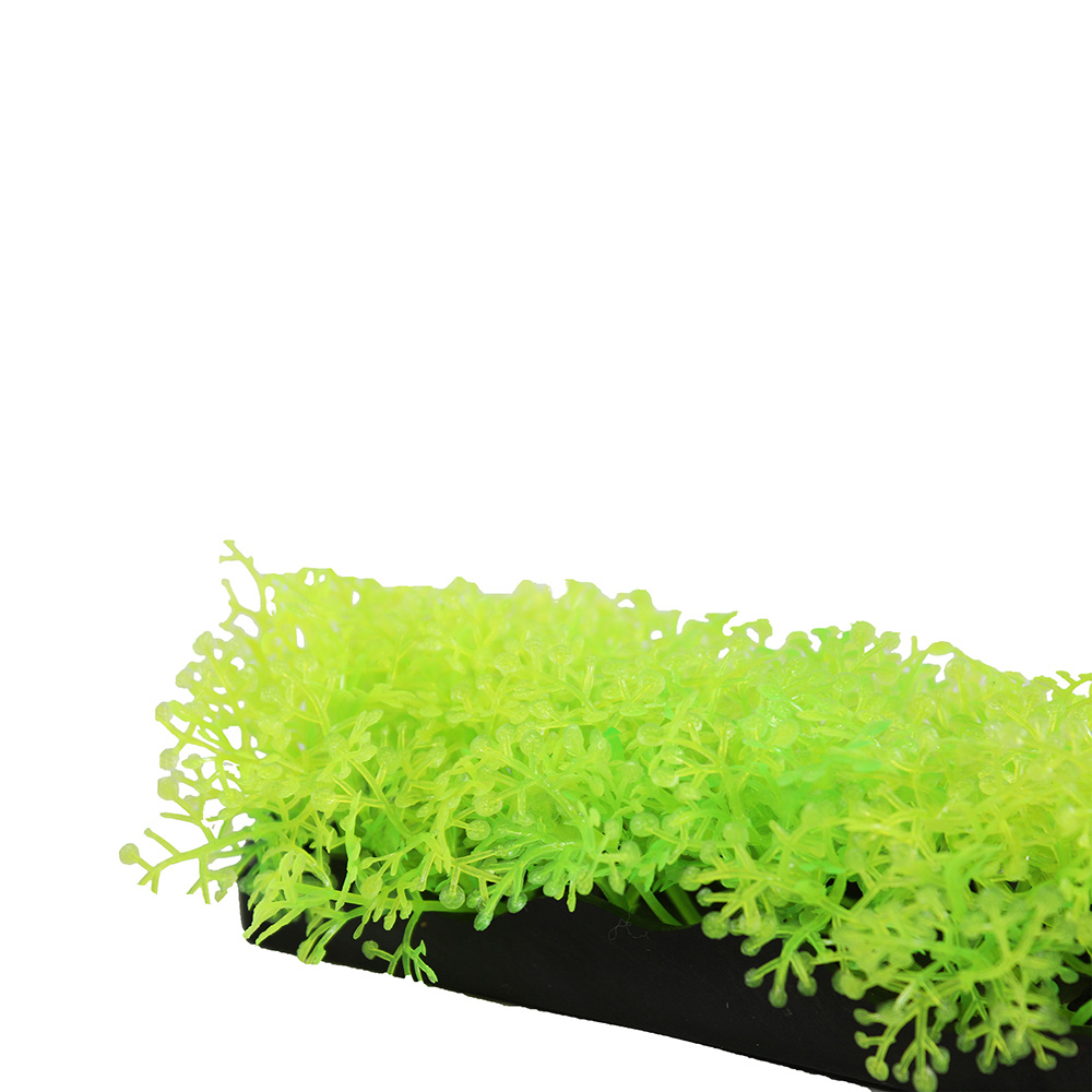 Penn-Plax eOrder | Tide & Treasure™ Glow Plants - 5-Piece PDQ - Green ...