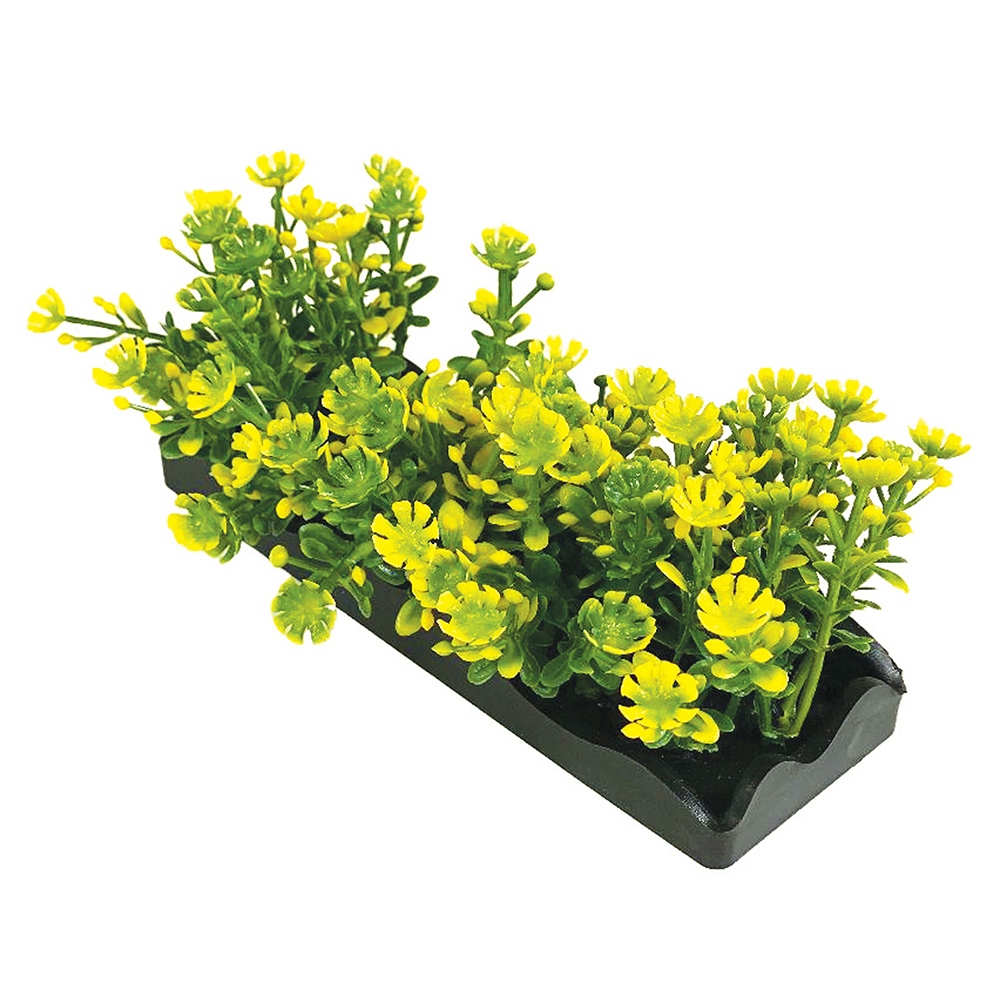 Penn-Plax eOrder | Tide & Treasure™ Aqua-Plant 5-Piece PDQ - Yellow - Small