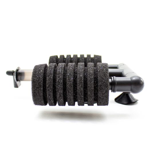 ONF1-COMPONENT6.jpg