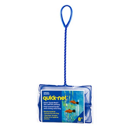 QN8-PKG.jpg