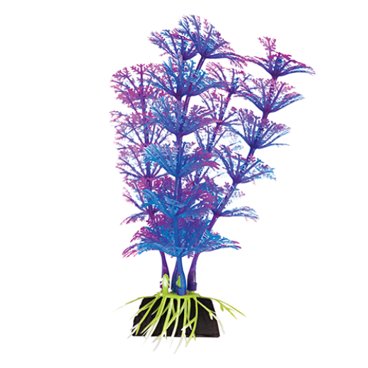 PBP2S-COMPONENT3.png