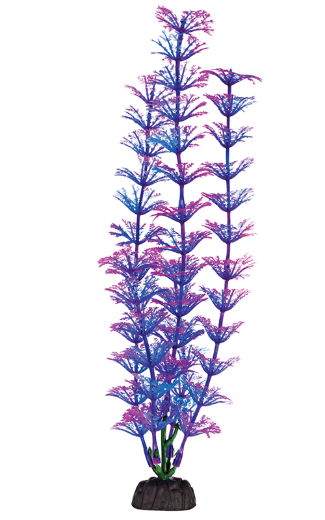 PBP2M-COMPONENT3.png