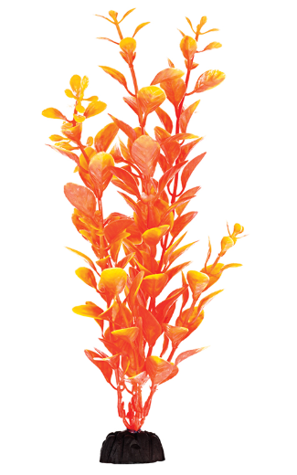 PBP2M-COMPONENT2.png