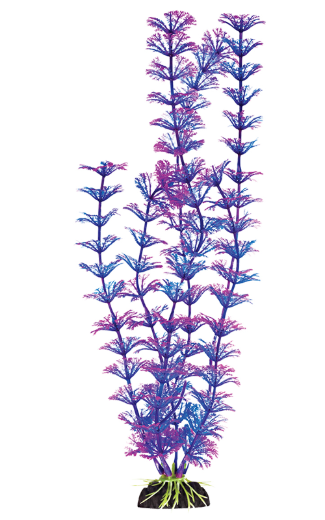 PBP2L-COMPONENT3.png