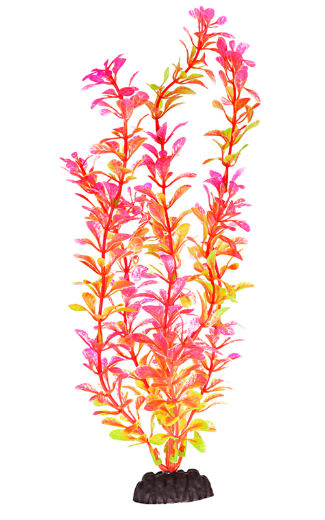 PBP2L-COMPONENT2.png