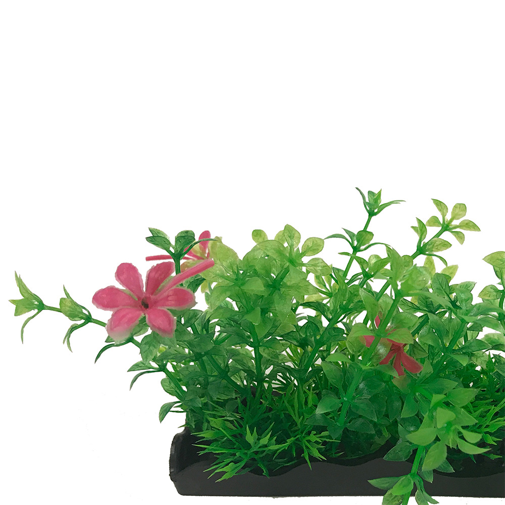 Penn-Plax eOrder | Tide & Treasure™ Aquascaping Plants - 5-Piece PDQ ...