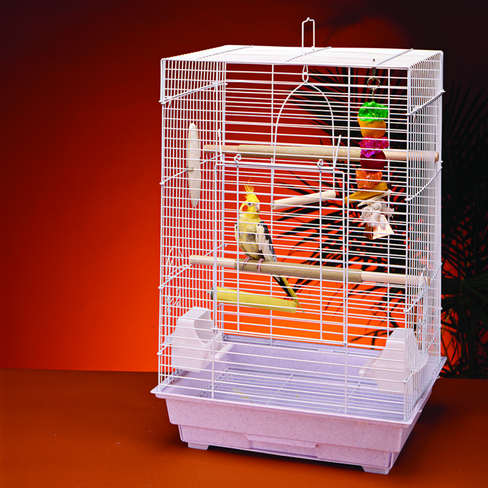 Penn-Plax eOrder | Bird Life™ Bird Kit - Cockatiel & Small Parrot ...