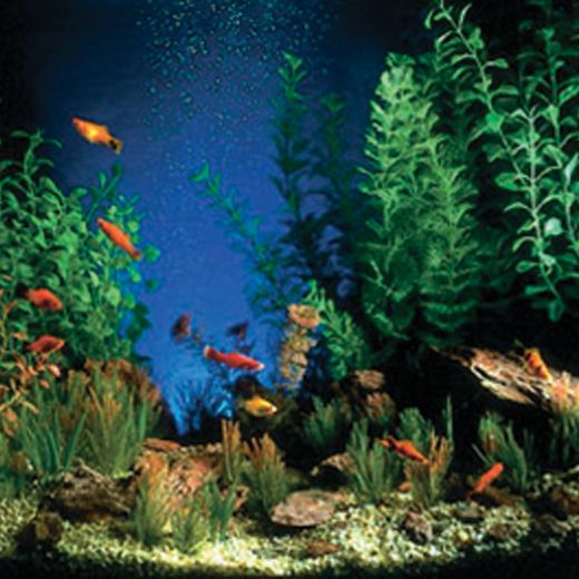 Picture of Tide & Treasure™ Double-Back™ Bulk Roll - Aquarama/Shalescape - 19.25" x 50'