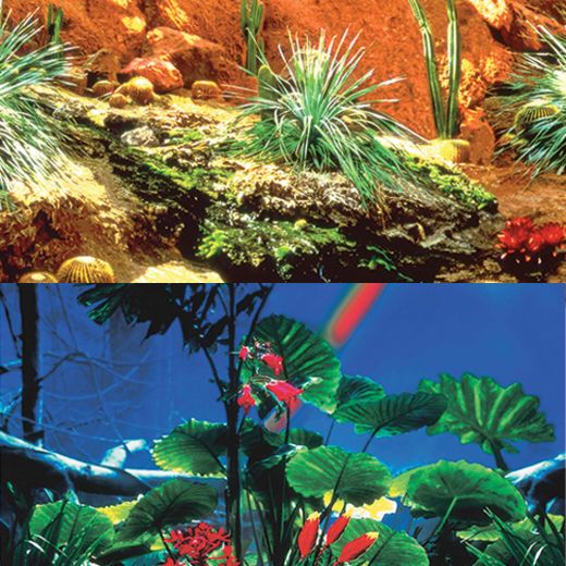 Picture of Tide & Treasure™ Double-Back™ Bulk Roll - Cactus Garden/Rainforest - 22.25" x 50'