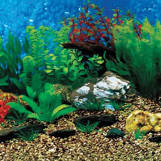 Picture of Tide & Treasure™ Double-Back™ Bulk Roll - Shale Wall/Hawaii Blue - 32" x 50'