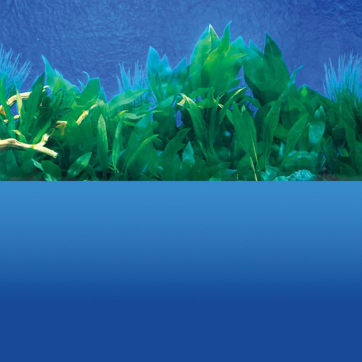 Picture of Tide & Treasure™ Double-Back™ Pre-Cut Background - Deep Blue Sea/Amazon Waters - Up to 10 Gallons