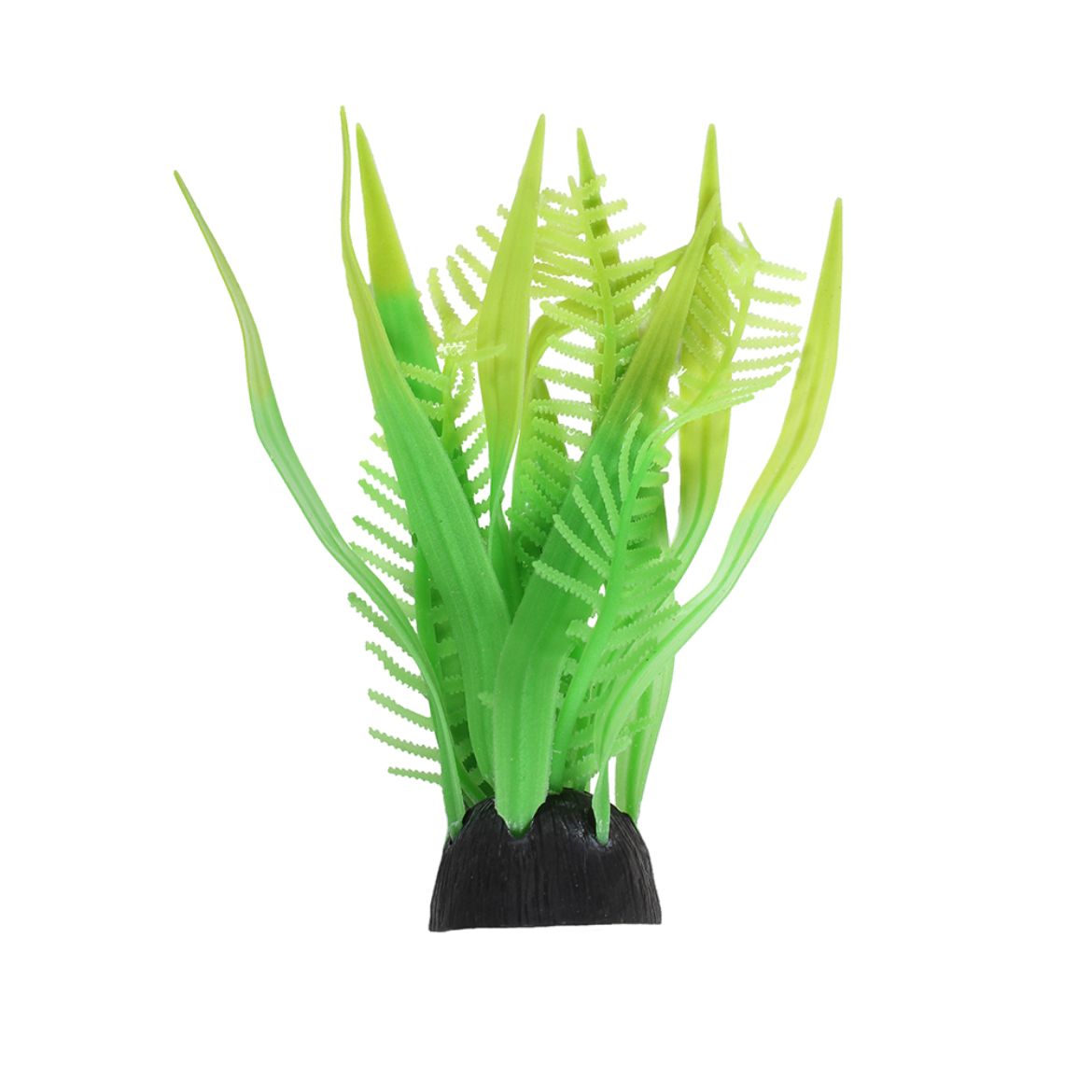 Picture of Tide & Treasure™ Staghorn Fern & Seaweed - Green - Small