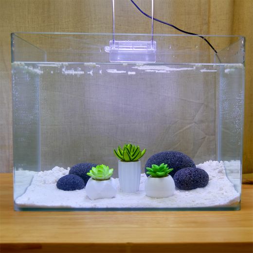 Picture of Tide & Treasure™ Succulent Kit - Small - 3-Piece