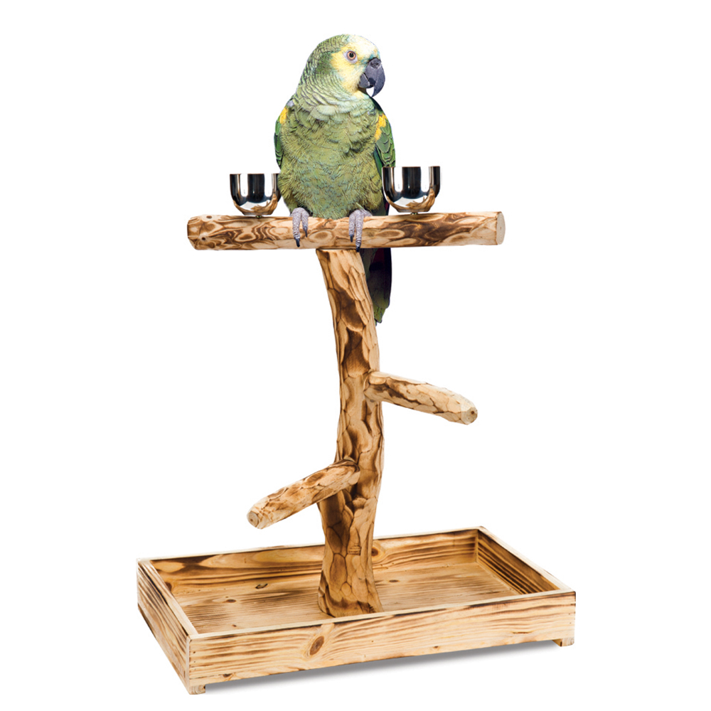 Penn-Plax eOrder | Bird Life™ Natural Wood Tree Perch for Large Birds