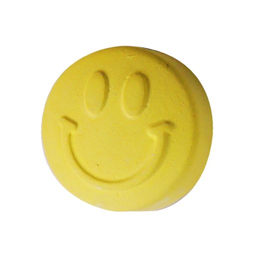 Picture of Small Animal Life™ Mystery Mineral Blocks - 16-Piece