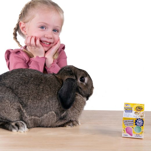 Picture of Small Animal Life™ Mystery Mineral Blocks - 16-Piece