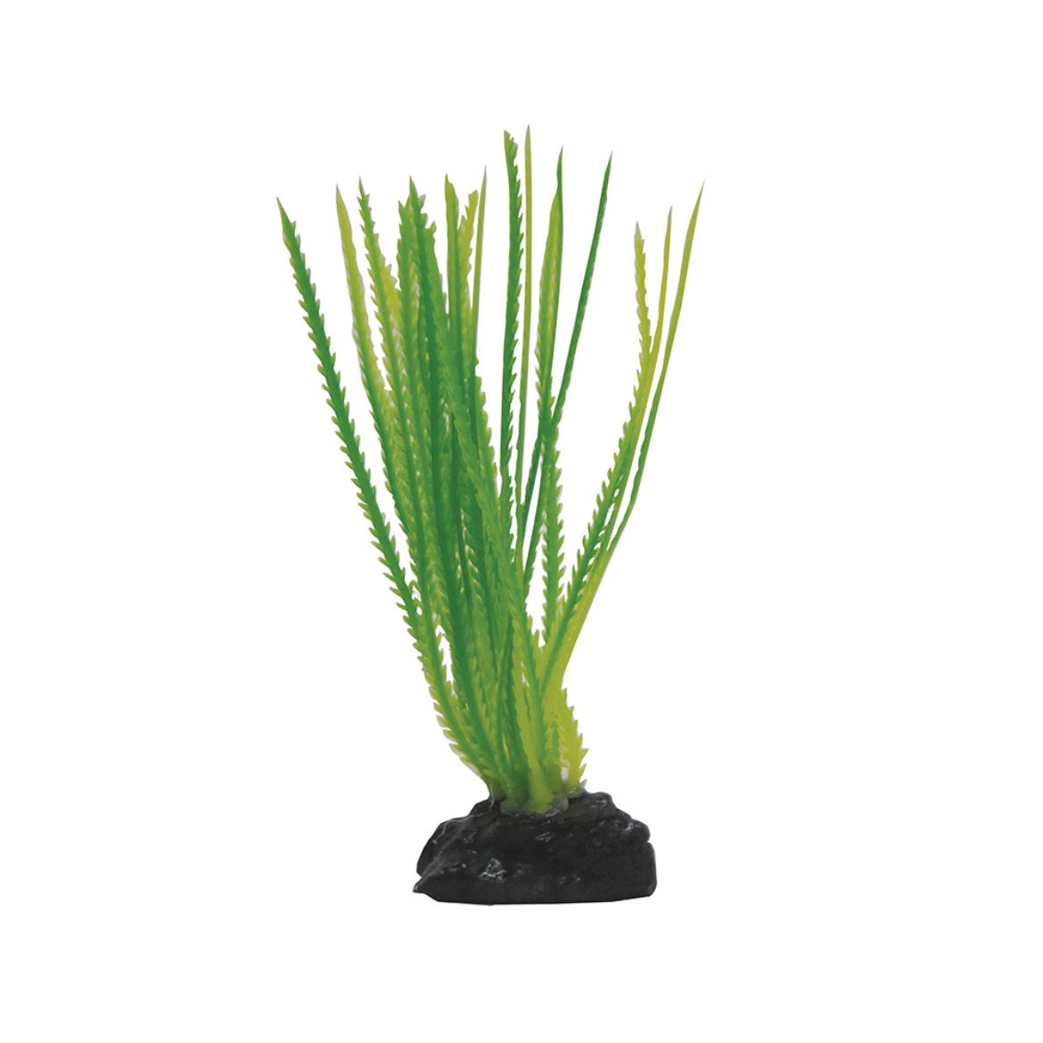 Picture of Tide & Treasure™ Hair Grass - Green - 3.5"