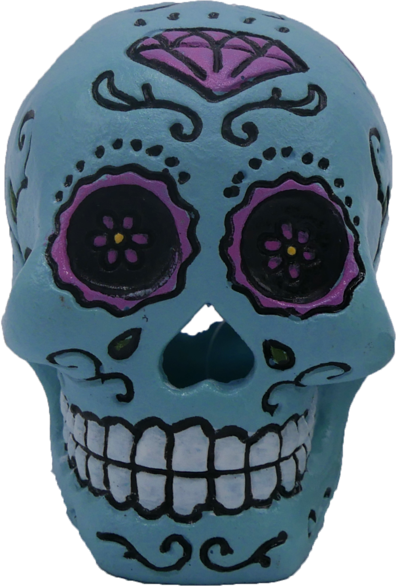 Picture of Tide & Treasure™ Sugar Skull - Blue - Medium