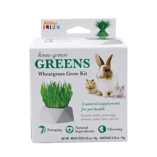 HOME GROWN GREENS w/ DISH -  SUBSTRATE 10G + WHEAT SEED 10G