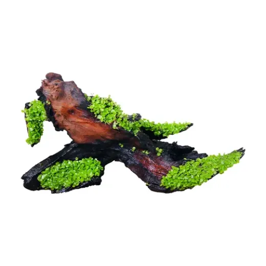 AFN3