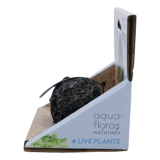 Lava Rock - Aqua Flora Naturals