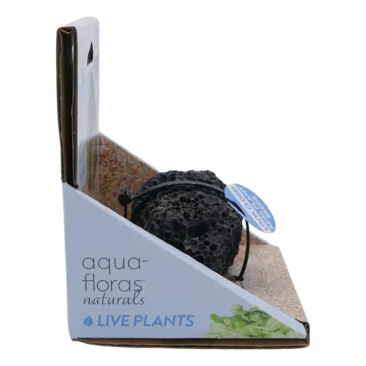 Lava Rock - Aqua Flora Naturals