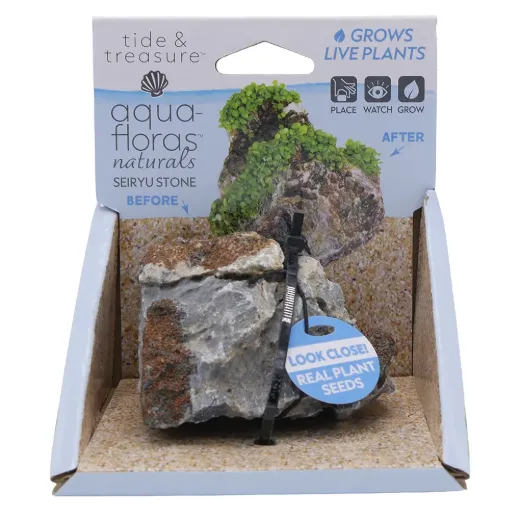 Seiryu Stone - Aqua Flora Naturals