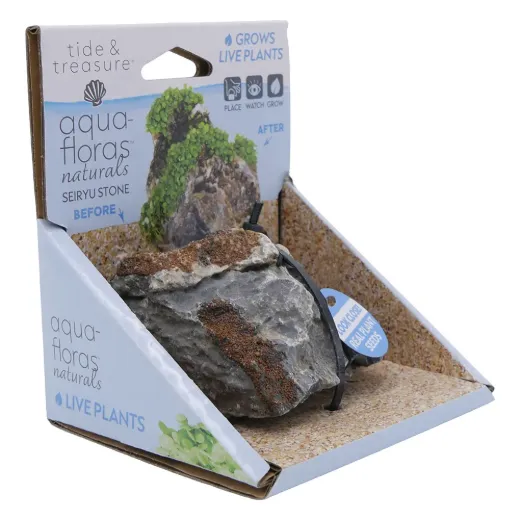 Seiryu Stone - Aqua Flora Naturals