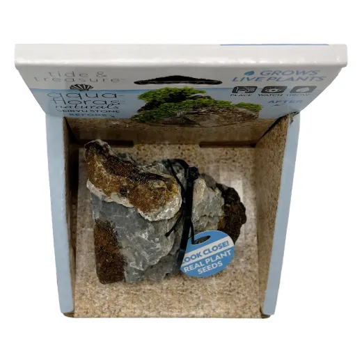 Seiryu Stone - Aqua Flora Naturals
