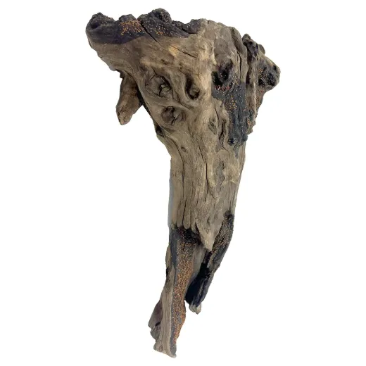 Driftwood Medium -Aqua Flora Naturals - 8.25"-12"