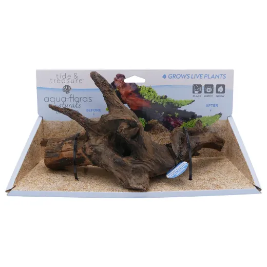 Driftwood Medium -Aqua Flora Naturals - 8.25"-12"