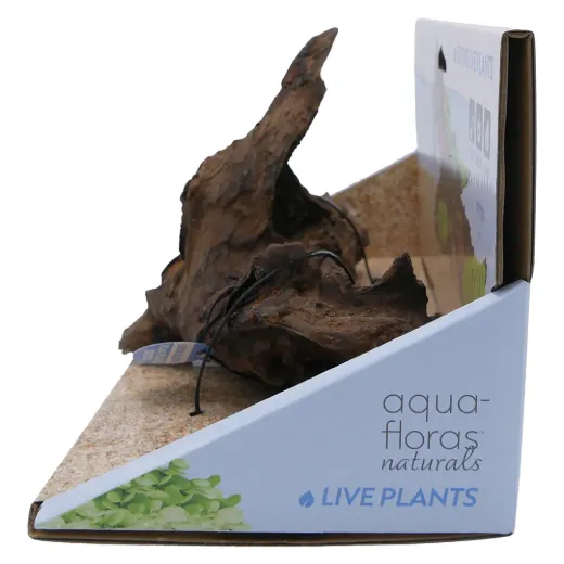 Driftwood Medium -Aqua Flora Naturals - 8.25"-12"