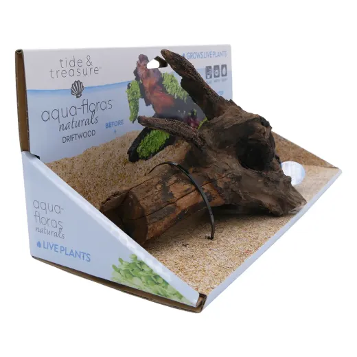 Driftwood Medium -Aqua Flora Naturals - 8.25"-12"