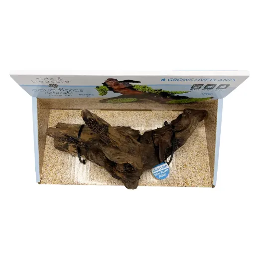 Driftwood Medium -Aqua Flora Naturals - 8.25"-12"