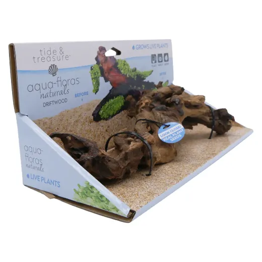 Driftwood Medium -Aqua Flora Naturals - 8.25"-12"
