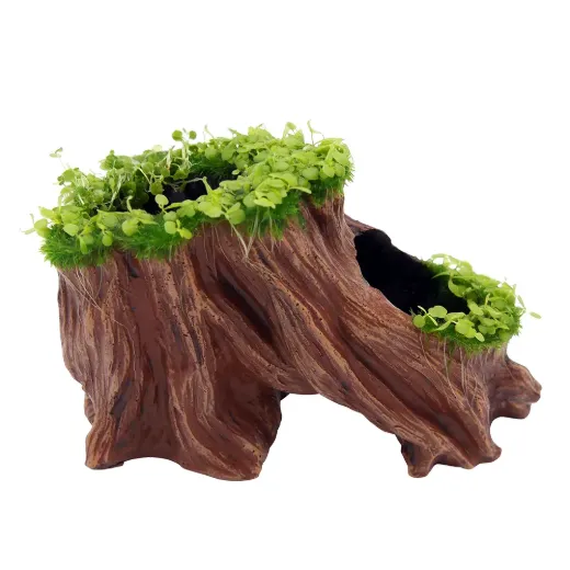 Living Root Aqua-Flora