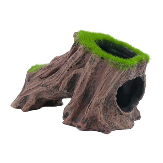 Living Root Aqua-Flora
