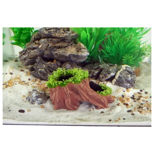 Living Root Aqua-Flora