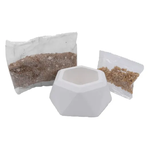 HOME GROWN GREENS w/ DISH -  SUBSTRATE 10G + WHEAT SEED 10G