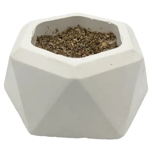 HOME GROWN GREENS w/ DISH -  SUBSTRATE 10G + WHEAT SEED 10G