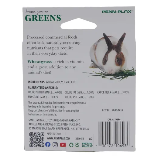 HOME GROWN GREENS w/ DISH -  SUBSTRATE 10G + WHEAT SEED 10G