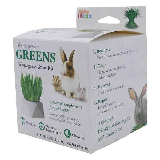 HOME GROWN GREENS w/ DISH -  SUBSTRATE 10G + WHEAT SEED 10G