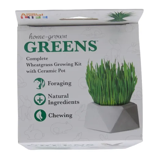 HOME GROWN GREENS w/ DISH -  SUBSTRATE 10G + WHEAT SEED 10G